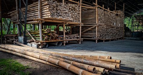 From Harvesting to Building: Making High-quality Building Materials with Bamboo - Building ...