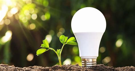 Consider energy efficient lightbulbs in your home?