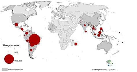 Geographical distribution of dengue cases reported worldwide, 2020