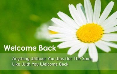 Welcome Back Quotes For Friends - ShortQuotes.cc