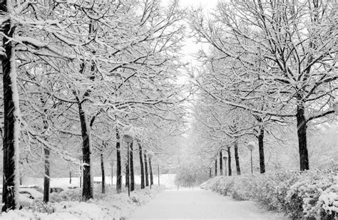 Korea Winter Wallpapers - Top Free Korea Winter Backgrounds ...