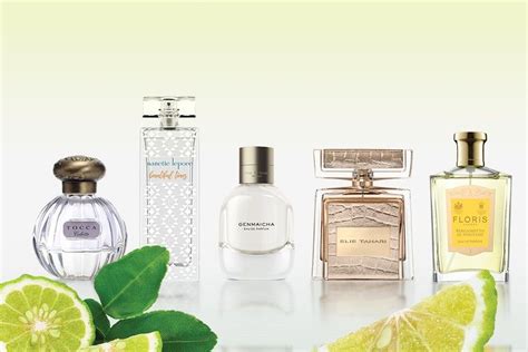 5 Best Bergamot Perfumes You Need Try Now