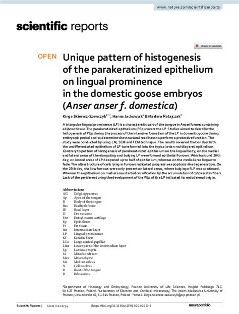 (PDF) Unique pattern of histogenesis of the parakeratinized epithelium on lingual prominence in ...