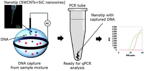 Extracting human DNA with full genetic data within minutes | RobAid