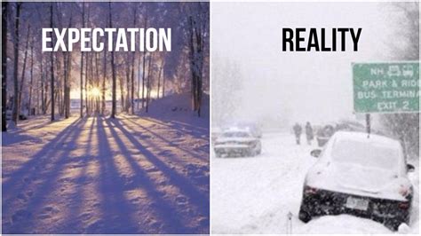 Florida Snow Meme - Captions Todays