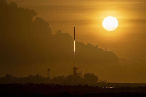 SpaceX Starlink launches for January 2023