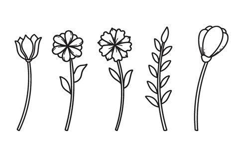 Line art Transparent flower doodle 26300676 Vector Art at Vecteezy