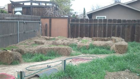 Hay Bale Gardening : 8 Steps - Instructables