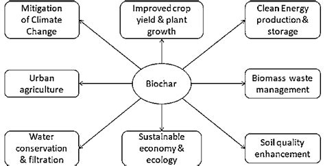 Applications of biochar in different sectors | Download Scientific Diagram