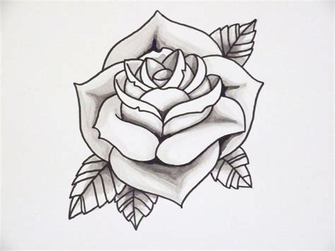 Rose Drawing at GetDrawings | Free download