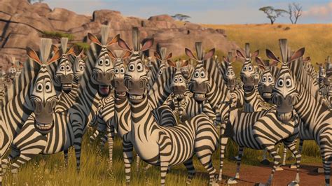 Image - Plains-zebra-madagascar-2.jpg | Animals Wiki | FANDOM powered by Wikia