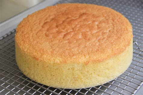 Sponge Cake Recipe – Japanese Cooking 101