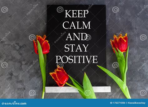 Words Keep Calm and Stay Positive on Chalkboard on Grey Concrete Background with Fresh Tulips ...