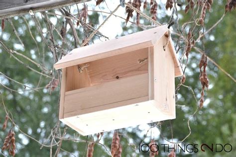 20 Best DIY Wooden Bird Feeders Plans and Ideas