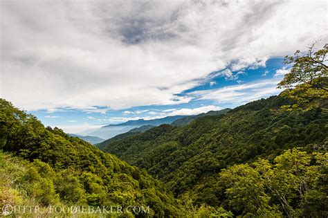 Alishan, Taiwan