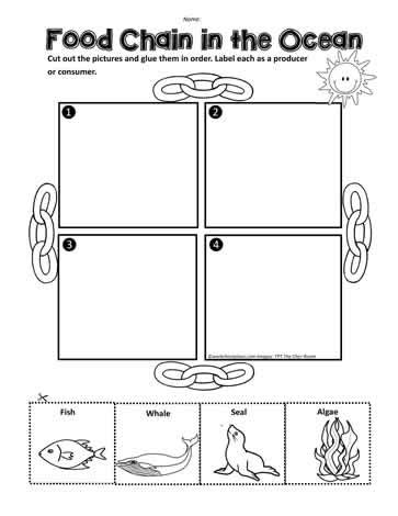 Ocean Food Chain Worksheets