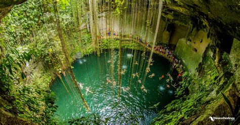 11 Cenotes en Yucatán donde nadar es toda una Aventura