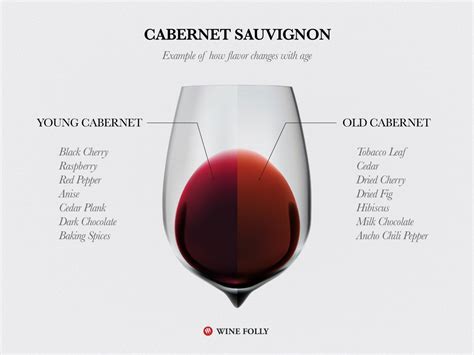 11 Curiosidades sobre a Cabernet Sauvignon | Viva o Vinho