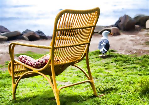 Beach Chair And The Gull Free Stock Photo - Public Domain Pictures