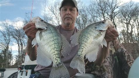 Winter Crappie