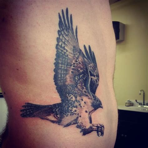 All of my tattoos seem to revolve around flying. The Peregrine Falcon represents one of the ...