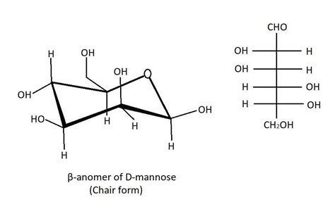 Which is the correct chair form for the β-anomer of D-mannose? - Brainly.in