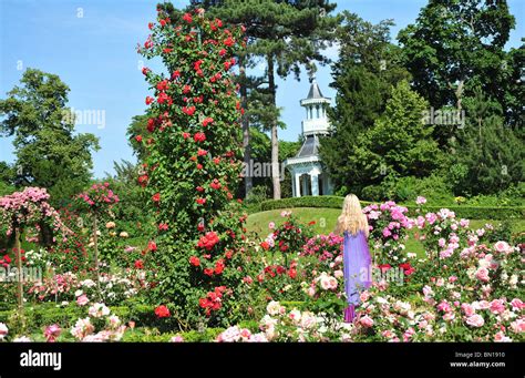 Bois de Boulogne, Parc de Bagatelle, rose garden and orangery ...