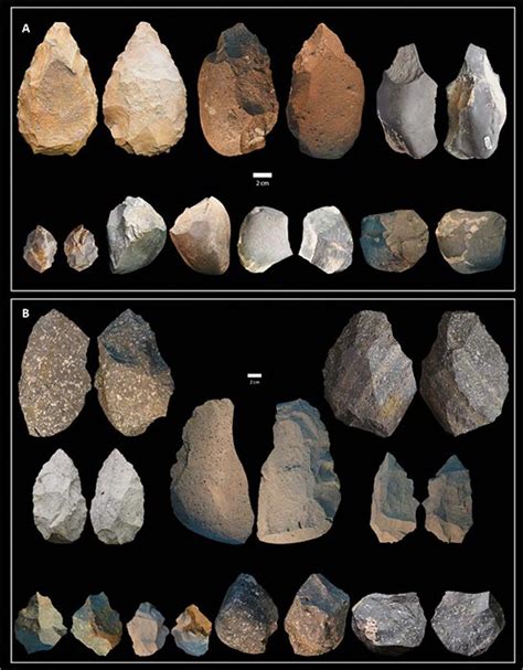 Homo Erectus Tools Challenge Single Species-Single Tech Thinking | Ancient Origins