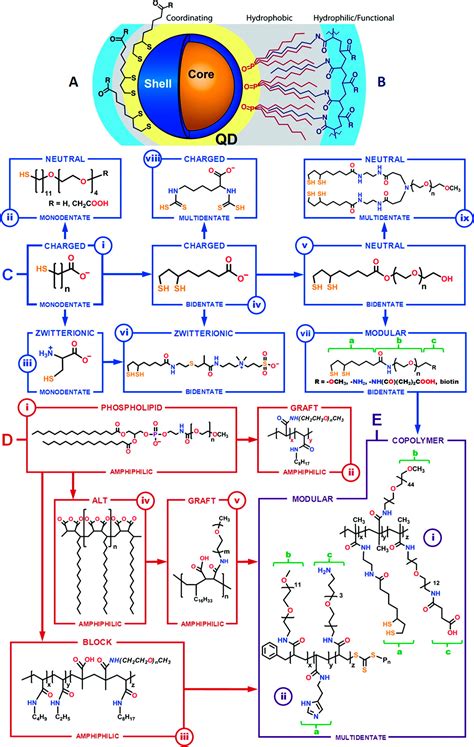 The Role of Ligands in the Chemical Synthesis and Applications of ...