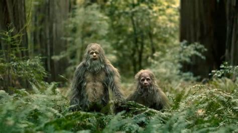 Reviews: Sasquatch Sunset (2024) – Online Film Critics Society