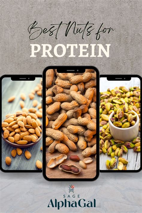 High Protein Nuts: Your Ultimate Snacking Guide