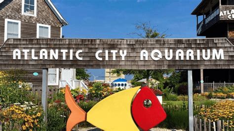 Atlantic City Aquarium to Officially Reopen This Summer! - Wildwood ...