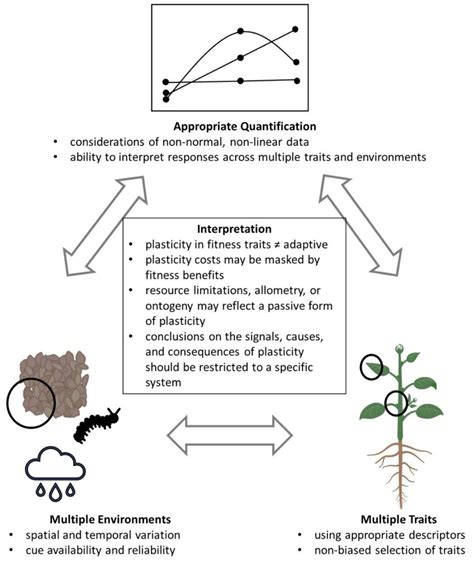 Are “Plastic” Plants Our Future? Understanding and studying phenotypic ...