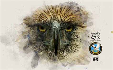 Brief History | The Fraternal Order of Eagles (Philippine Eagles) | Est. 1979