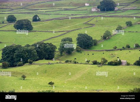 Yorkshire Dales in Yorkshire, England, UK Stock Photo - Alamy