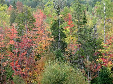 Autumn Colors Blue Mountain Lake Adirondacks NY 2844 | Flickr