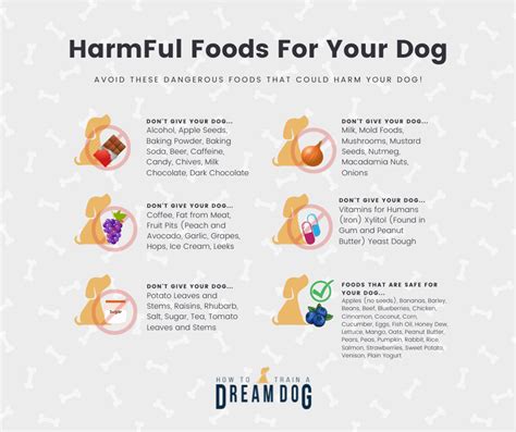 Coordinate effect Presenter foods good for dogs Young lady Harmony shuttle