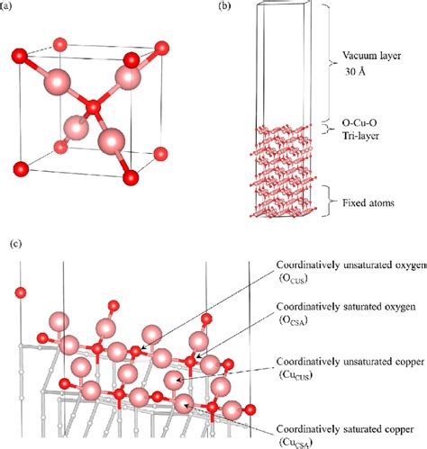 Surface models of copper oxide: (a) optimized copper oxide unit cell,... | Download Scientific ...