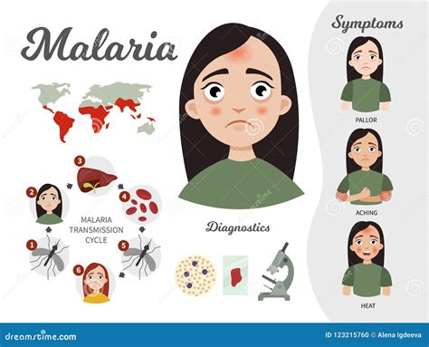 Malaria Symptoms Vector Illustration | CartoonDealer.com #65770814