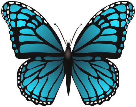 Large blue butterfly clipart 20 free Cliparts | Download images on ...