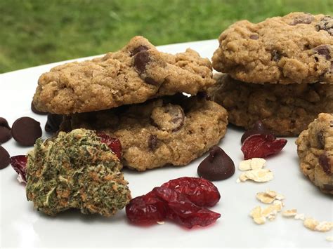 8 quick and easy steps to making highly potent weed cookies for your house party Tuko.co.ke