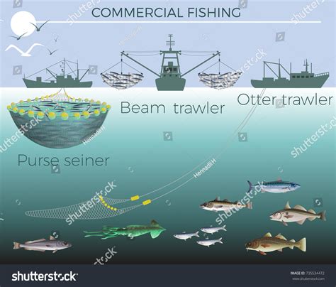 Types Fishing Boats Purse Seiner Beam Stock Vector (Royalty Free) 735534472 | Shutterstock