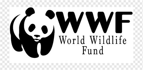 Giant panda World Wide Fund for Nature Logo Conservation Organization, others, mammal, text ...