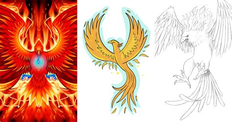 15 Easy Phoenix Drawing Ideas - How to Draw a Phoenix