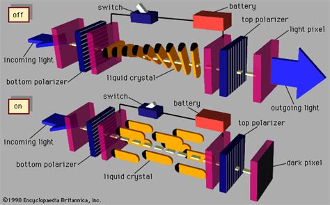 liquid crystal - Liquid crystal compounds | Britannica