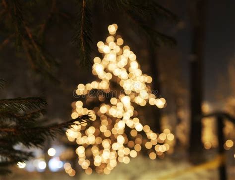 Christmas Tree with Lights Glowing Stock Image - Image of defocused ...