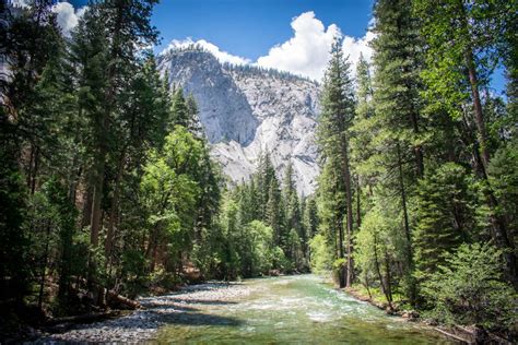 See the Redwoods: 7 Best Hikes in Sequoia & Kings Canyon National Parks | GearJunkie