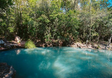 Visiting Cardwell Spa Pools in Queensland: Complete Guide