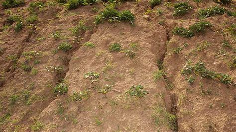 Welsh farmers warned over soil erosion - Farmers Weekly