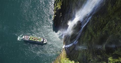 Milford Sound: Wilderness Cruise with Nature Guide | GetYourGuide